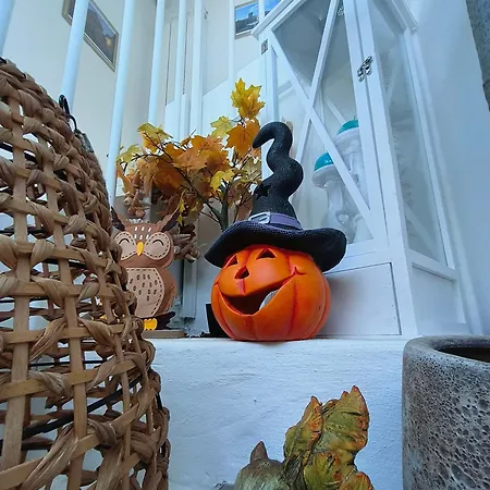 Olmata Nocleg ze śniadaniem *